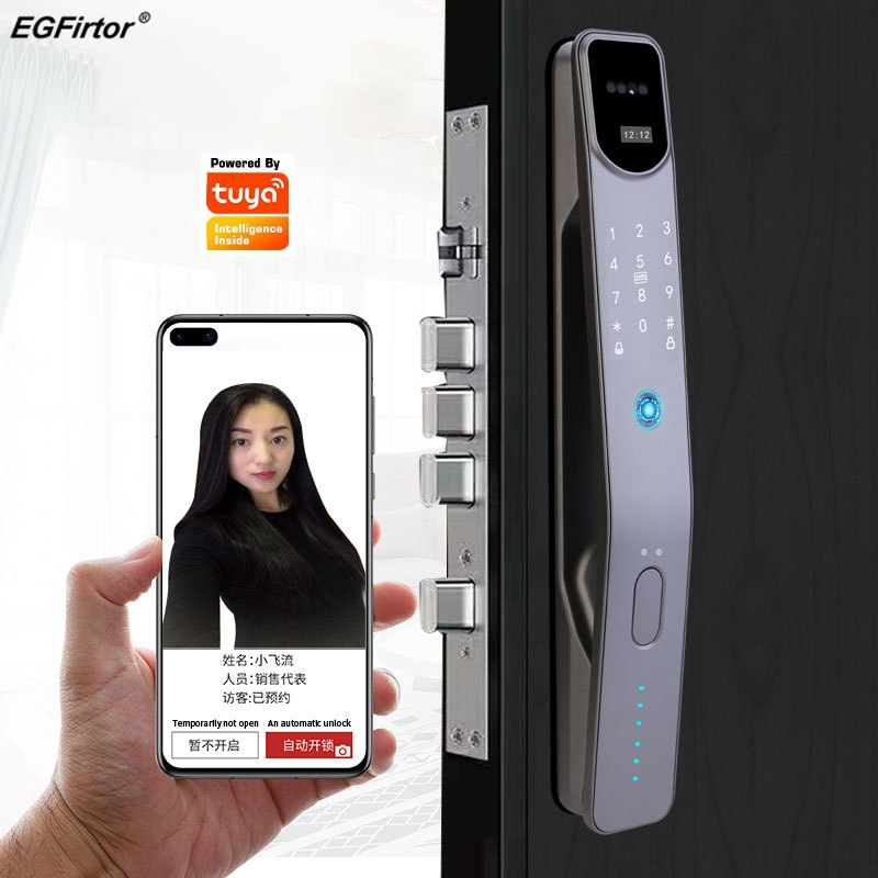 Smart Home Battery Camera - Tuya Wifi Electronic Fingerprint Smart Door