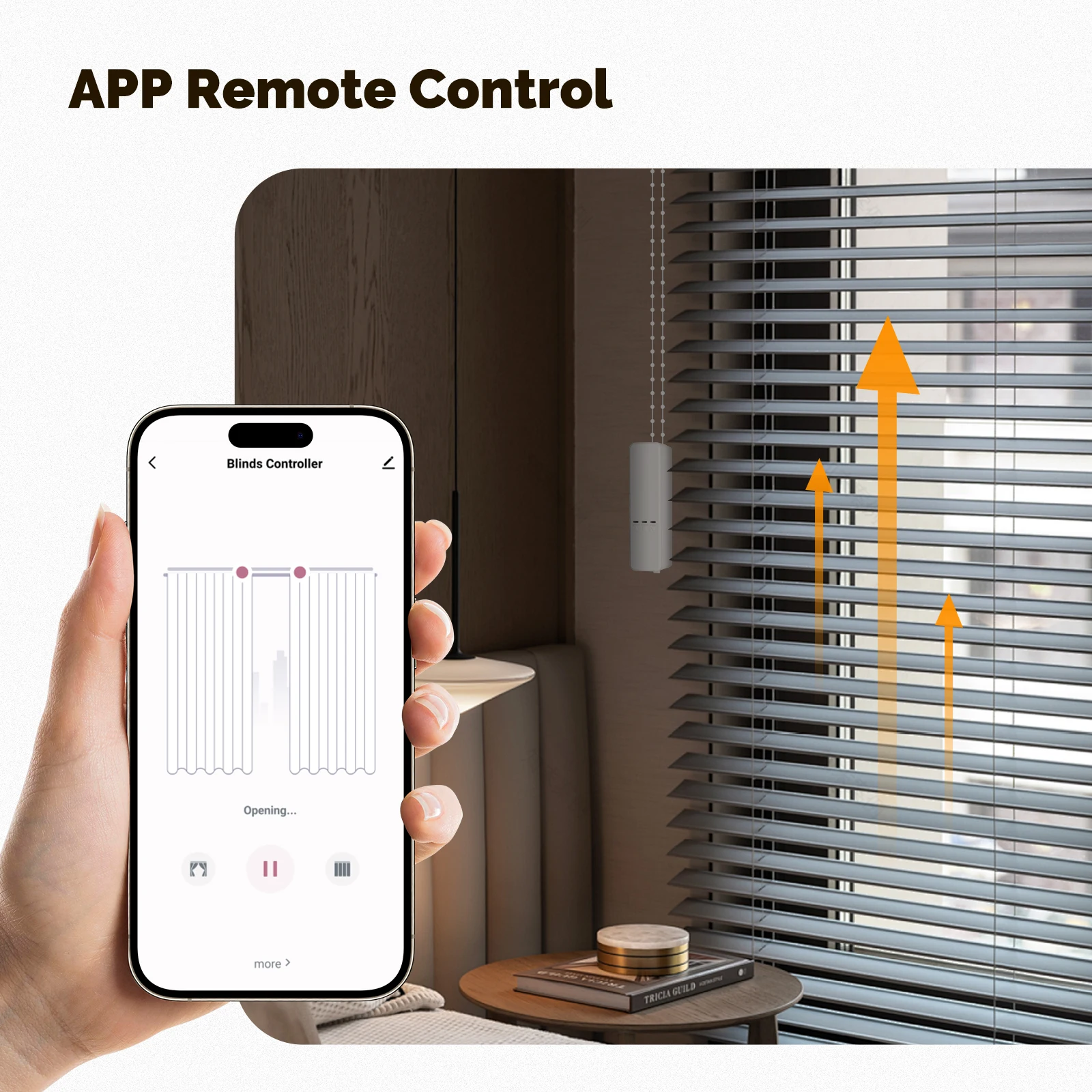 MOES Tuya ZigBee Smart Chain R - Smart Home Blinds 评论和价格