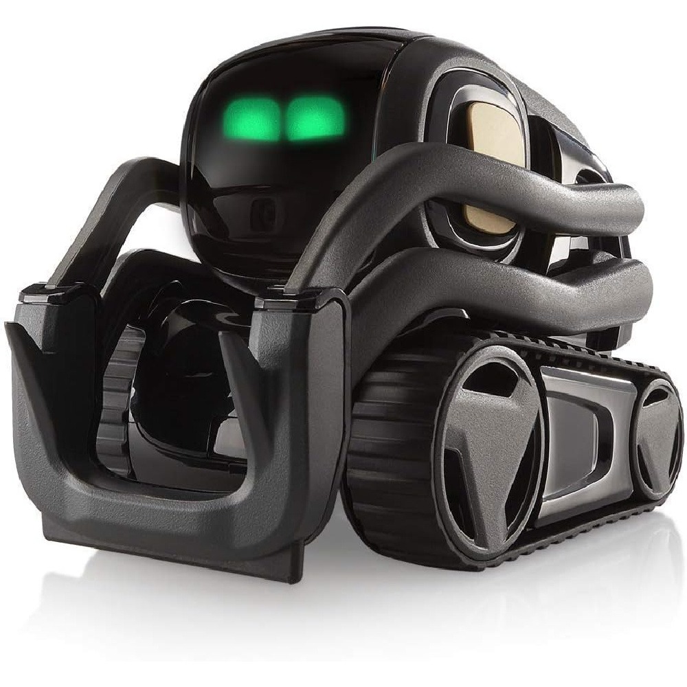 AI ChatGPT 2.0 Connected Robot - Smart Home Battery Camera 评论和价格