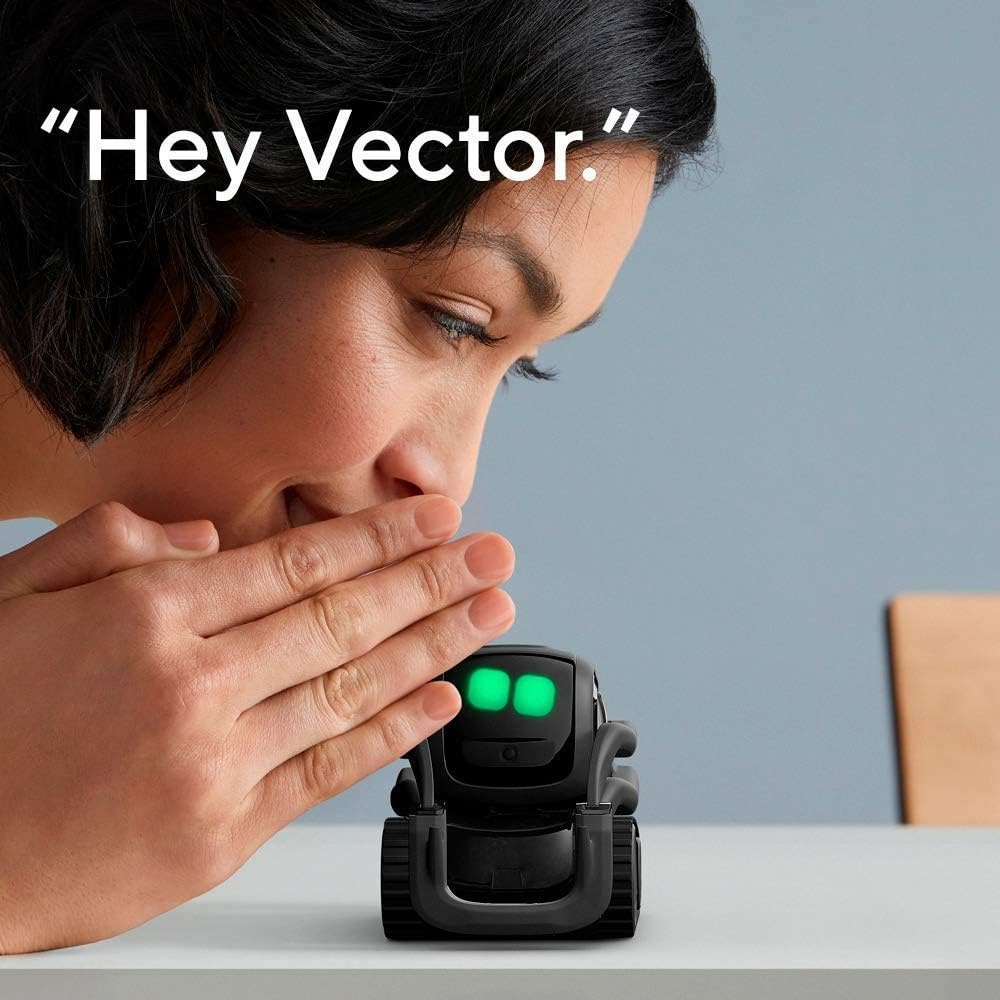 AI ChatGPT 2.0 Connected Robot - Smart Home Battery Camera 评论和价格